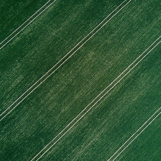 AGRONOMIC CONSULTING