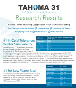 Tahoma 31 research results