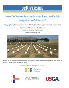 cover of the deficit irrigation study report