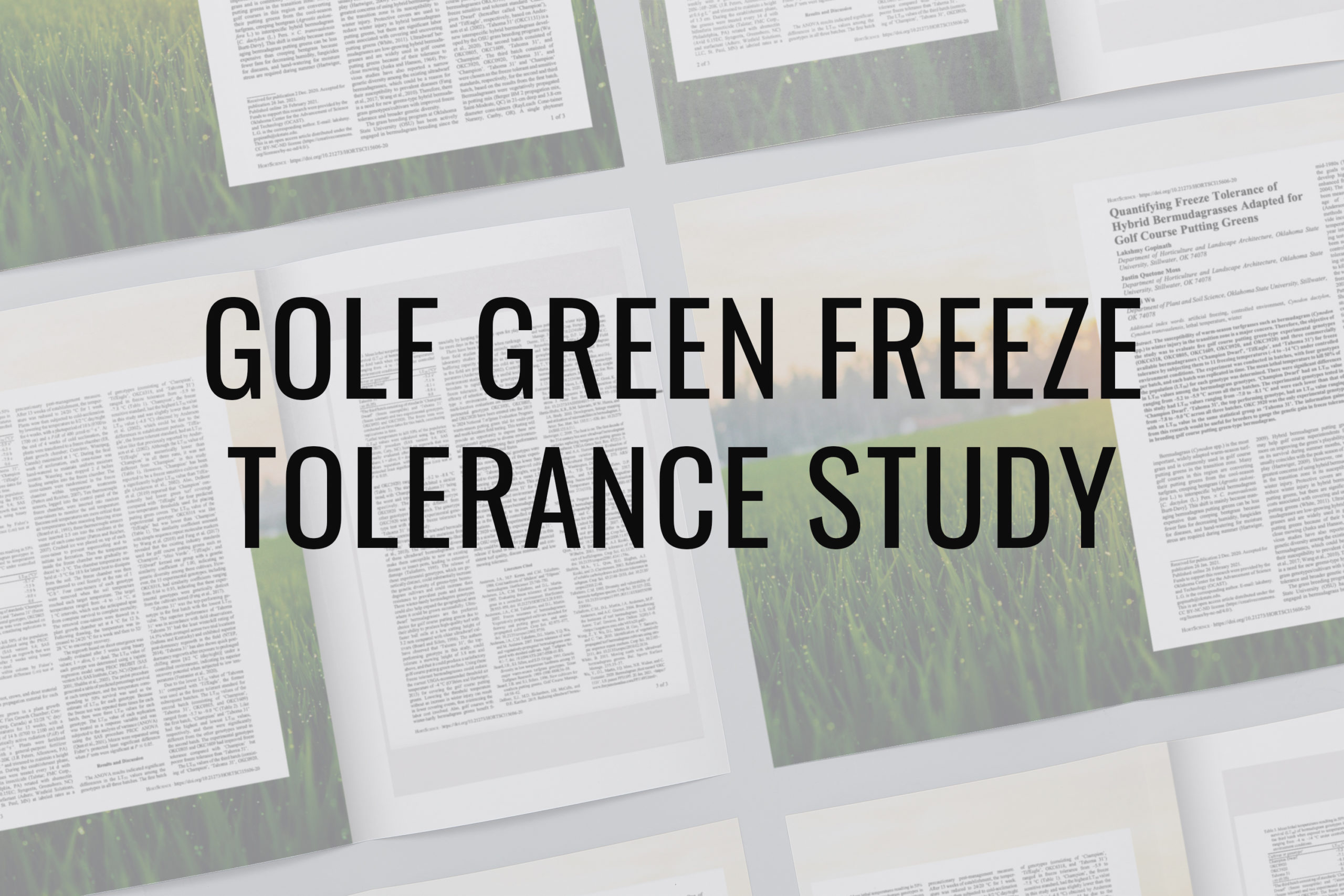golfgreen